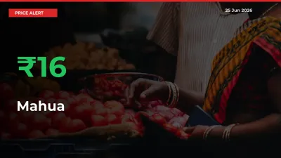 Mahua Rises 15.58% at Mandis