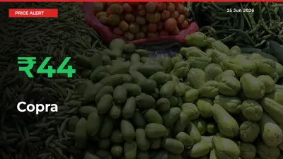 This Mandi Records 44.03% Jump in Copra Prices