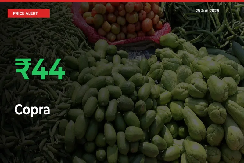 This Mandi Records 44.03% Jump in Copra Prices