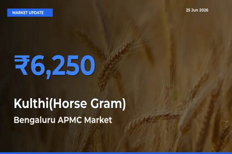 Bengaluru APMC Records Highest ₹6,250 Rate for Kulthi(Horse Gram)