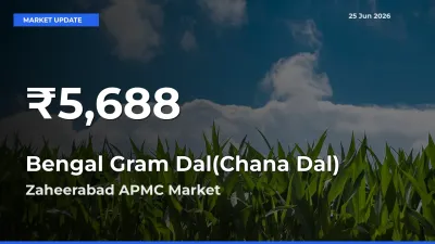 Bengal Gram Dal(Chana Dal) Falls to ₹5,688 in Zaheerabad APMC – 30-Day Lowest Rate