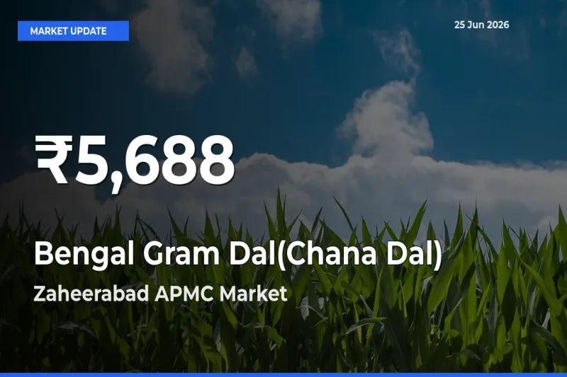 Bengal Gram Dal(Chana Dal) Falls to ₹5,688 in Zaheerabad APMC – 30-Day Lowest Rate