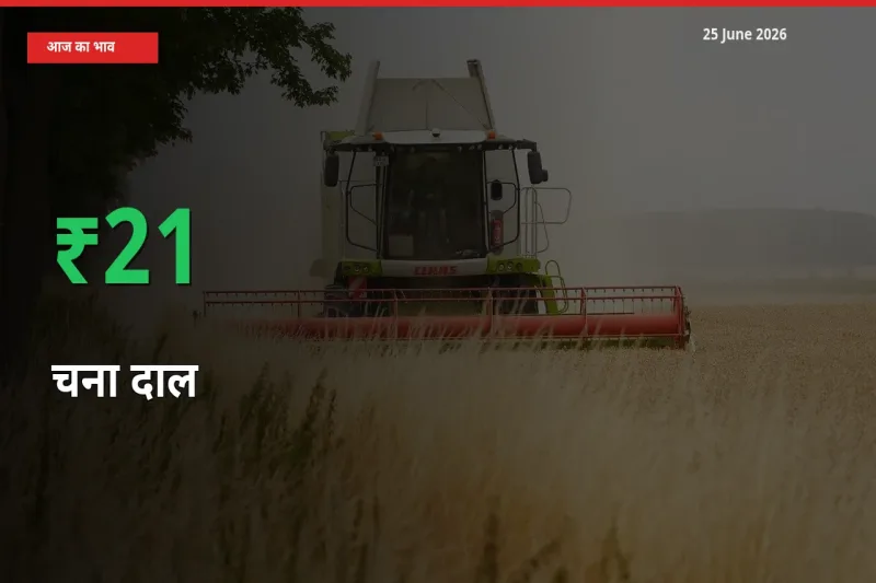 स्थानीय मंडी में चना दाल के दाम अचानक 21.13% उछले, किसान सतर्क