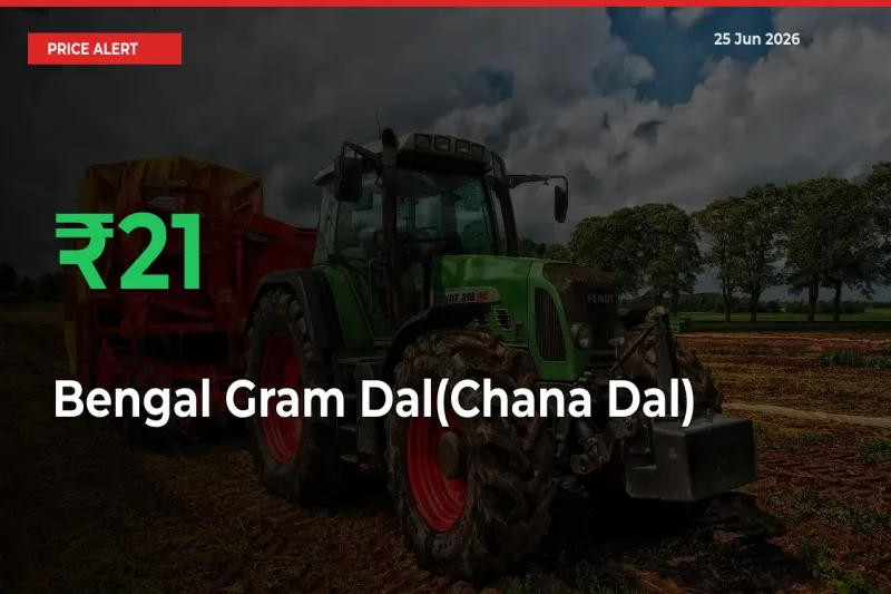 Farmers Cheer as Bengal Gram Dal(Chana Dal) Prices Surge 21.13% in Local Mandis
