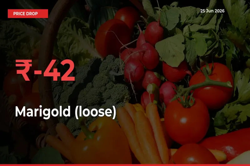 Marigold (loose) Falls 42.42% at Mandis