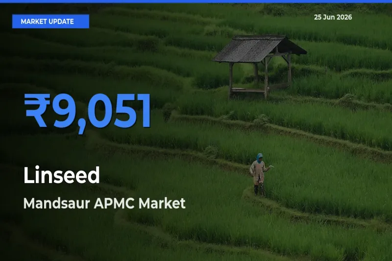 Farmers Prefer Mandsaur APMC as Linseed Hits Highest Rate