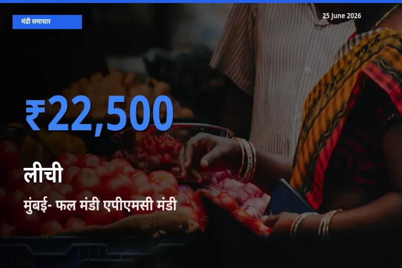 बाज़ार संकेत: मुंबई- फल मंडी एपीएमसी बना लीची के लिए आज की टॉप मंडी