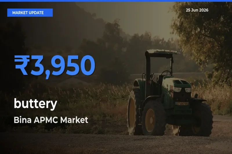 Farmers Prefer Bina APMC as buttery Hits Highest Rate