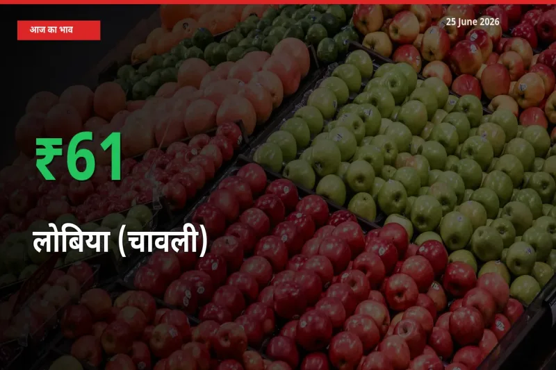 स्थानीय मंडी में लोबिया (चावली) के दाम अचानक 61.06% उछले, किसान सतर्क