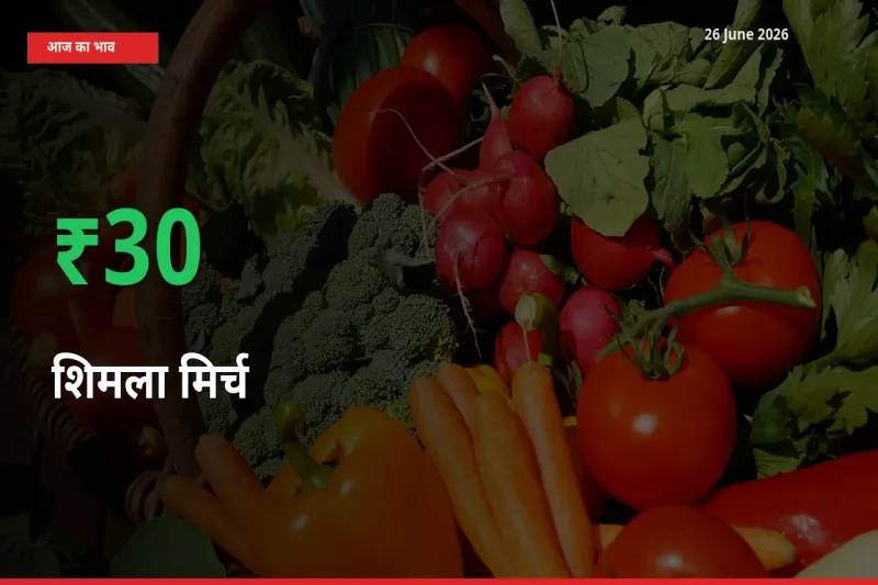 किसानों के लिए खुशखबरी! स्थानीय मंडी में शिमला मिर्च 29.92% उछला
