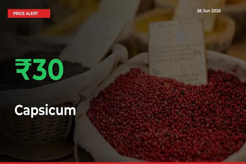 Sudden 29.92% Rally in Capsicum Prices Across Mandis