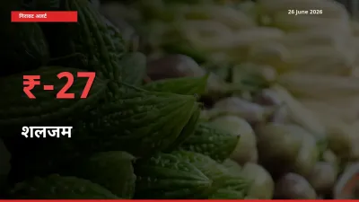 बाज़ार संकेत: शलजम के भाव मंडी में 27.15% नीचे