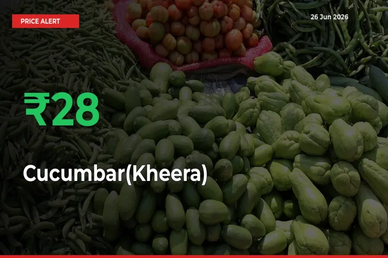 Why Cucumbar(Kheera) Prices Rose 27.92% in a Day at Mandis