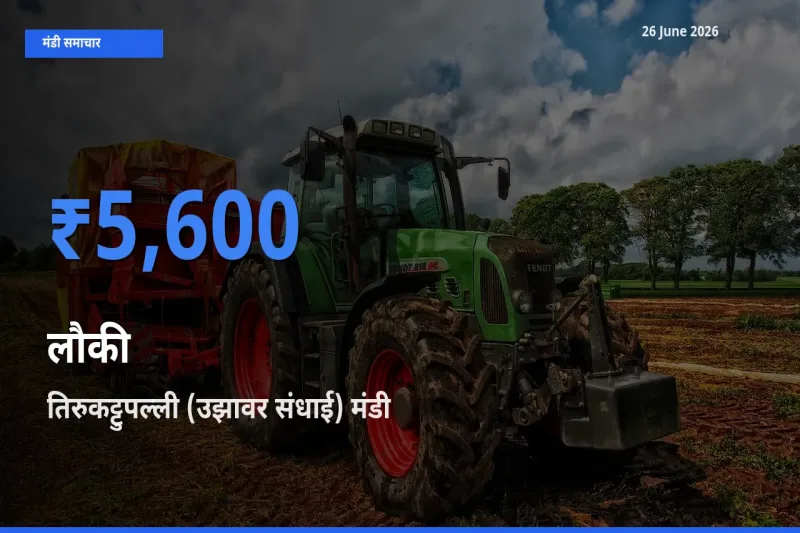 तिरुकट्टुपल्ली (उझावर संधाई) मंडी में लौकी ₹5,600 पर पहुँचा – आज का सर्वोच्च भाव