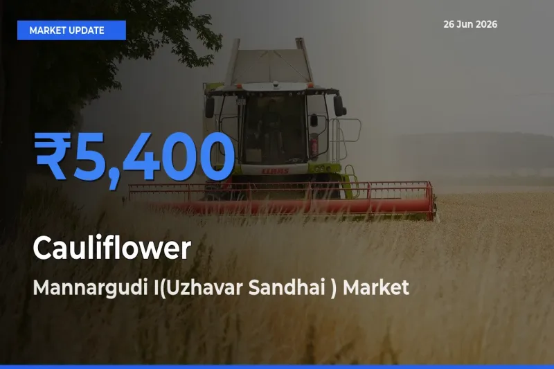 Mannargudi I(Uzhavar Sandhai ) Leads as Top Mandi for Cauliflower Prices