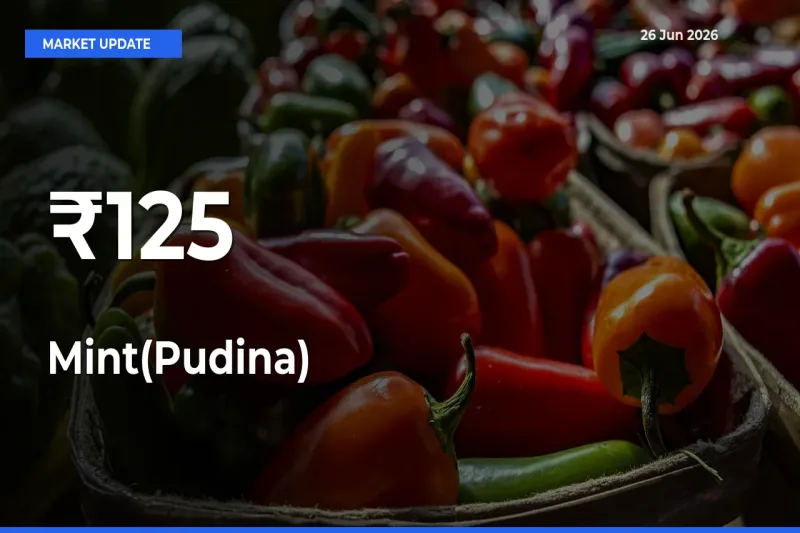 Mint(Pudina) Rates Show Broad Movement Across 125+ Mandis