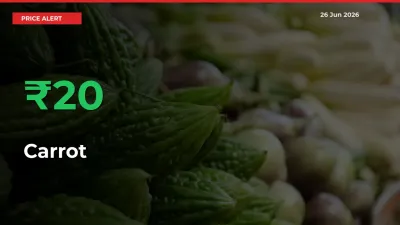 Sudden 20.35% Rally in Carrot Prices Across Mandis