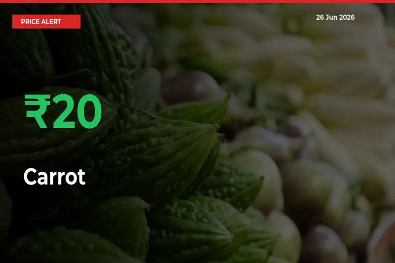 Sudden 20.35% Rally in Carrot Prices Across Mandis