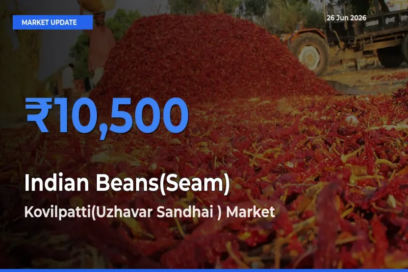 Indian Beans(Seam) Mandi Rate Today: Kovilpatti(Uzhavar Sandhai ) Tops the List