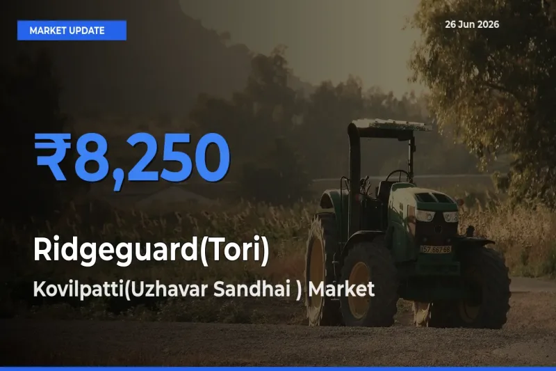 Ridgeguard(Tori) Mandi Rate Today: Kovilpatti(Uzhavar Sandhai ) Tops the List
