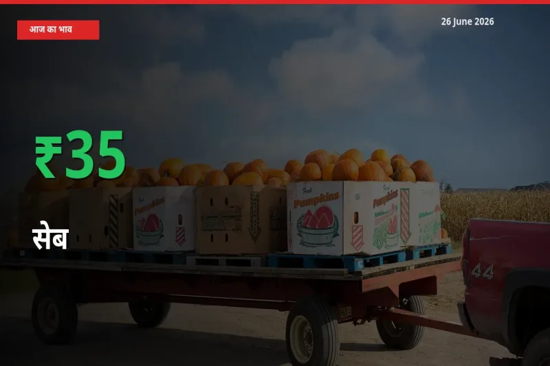 26 June अपडेट: सेब के दाम मंडी में 34.96% उछले