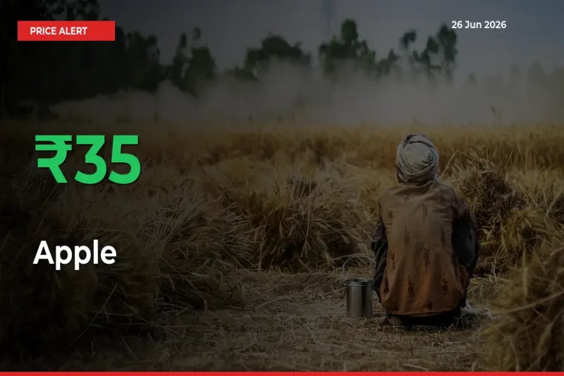 This Mandi Records 34.96% Jump in Apple Prices