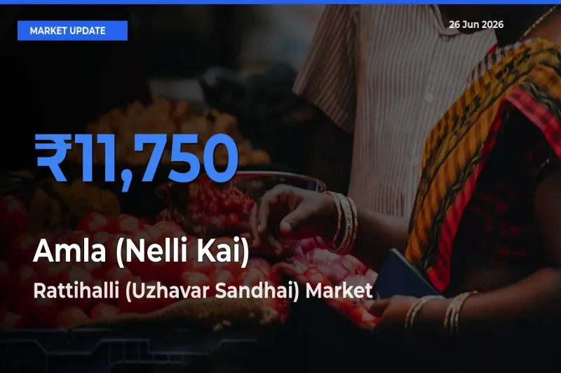 Rattihalli (Uzhavar Sandhai) Tops Amla (Nelli Kai) Mandi Rates Today
