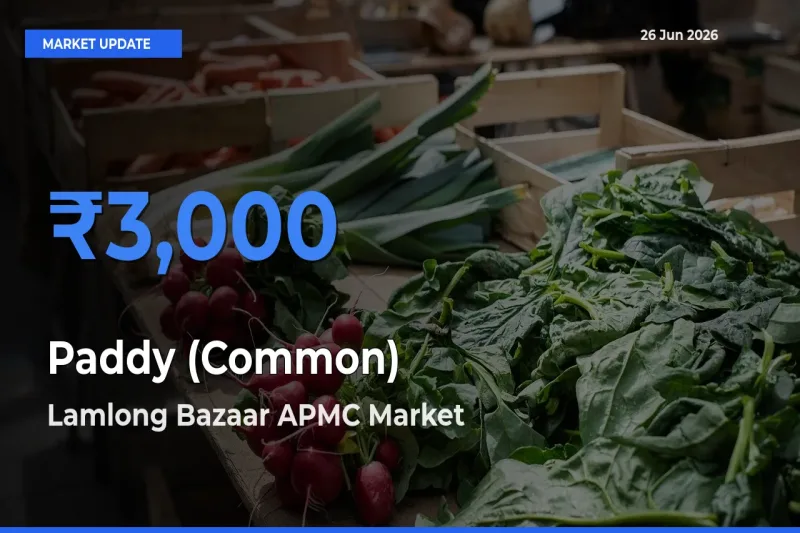 Lamlong Bazaar APMC Tops Paddy (Common) Mandi Rates Today