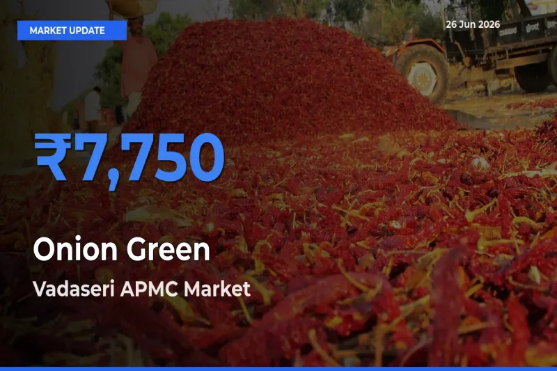 Vadaseri APMC Leads as Top Mandi for Onion Green Prices