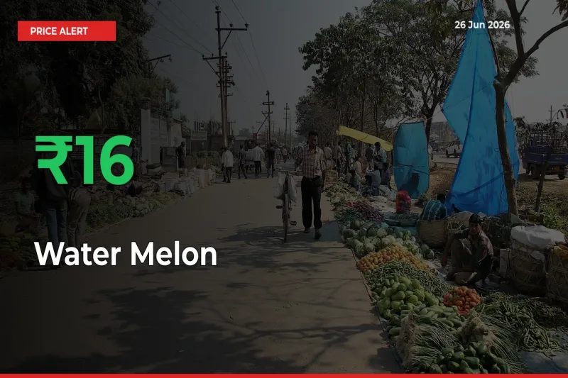 Big Rally! Water Melon Climbs 16.4% in 24 Hours at Top Mandis