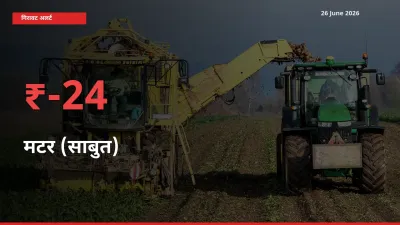 बाज़ार संकेत: मटर (साबुत) के भाव मंडी में 24.18% नीचे