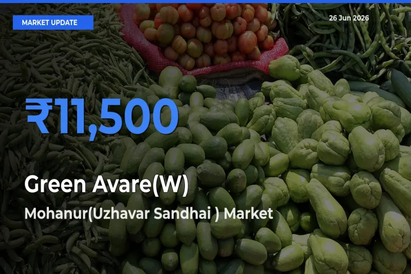 Market Watch: Mohanur(Uzhavar Sandhai ) Becomes Top Mandi for Green Avare(W)