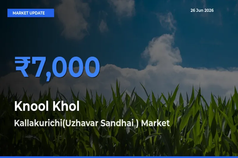 Kallakurichi(Uzhavar Sandhai ) Emerges as Top Mandi for Knool Khol Prices Today