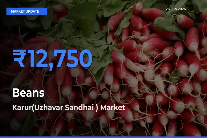 Karur(Uzhavar Sandhai ) Tops Beans Rates – June 26 Market Update