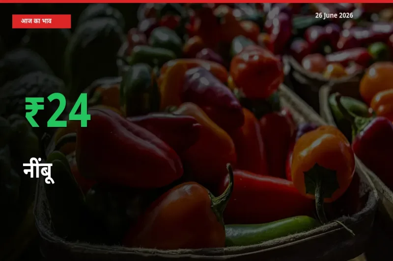तेज़ तेजी! मंडी में नींबू के दाम 23.67% चढ़े