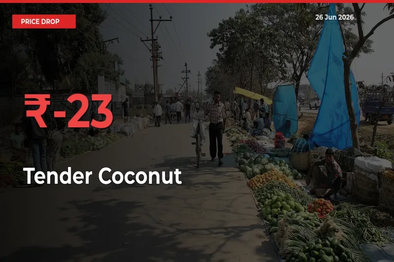 22.65% Drop in Tender Coconut Prices – Mandi Sees Sudden Fall