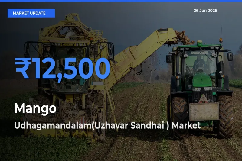 Udhagamandalam(Uzhavar Sandhai ) Emerges as Top Mandi for Mango Prices Today