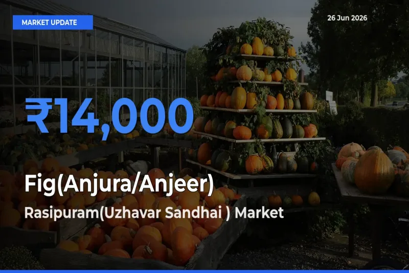 Rasipuram(Uzhavar Sandhai ) Emerges as Top Mandi for Fig(Anjura/Anjeer) Prices Today