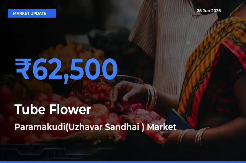 Paramakudi(Uzhavar Sandhai ) Tops Tube Flower Mandi Rates Today