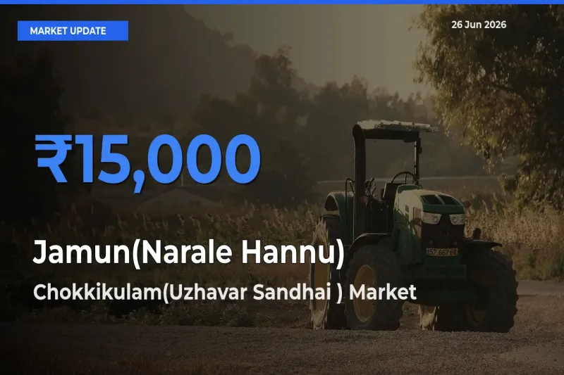 Chokkikulam(Uzhavar Sandhai ) Tops Jamun(Narale Hannu) Rates – June 26 Market Update
