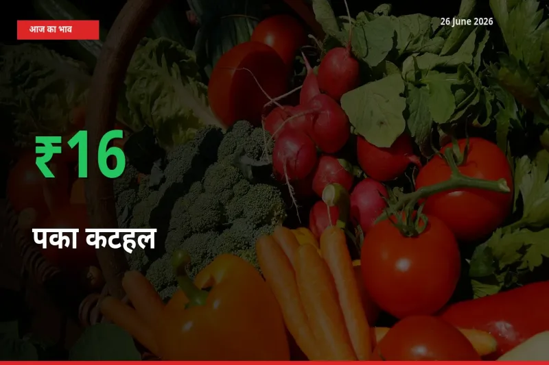 किसानों के लिए खुशखबरी! स्थानीय मंडी में पका कटहल 16.17% उछला