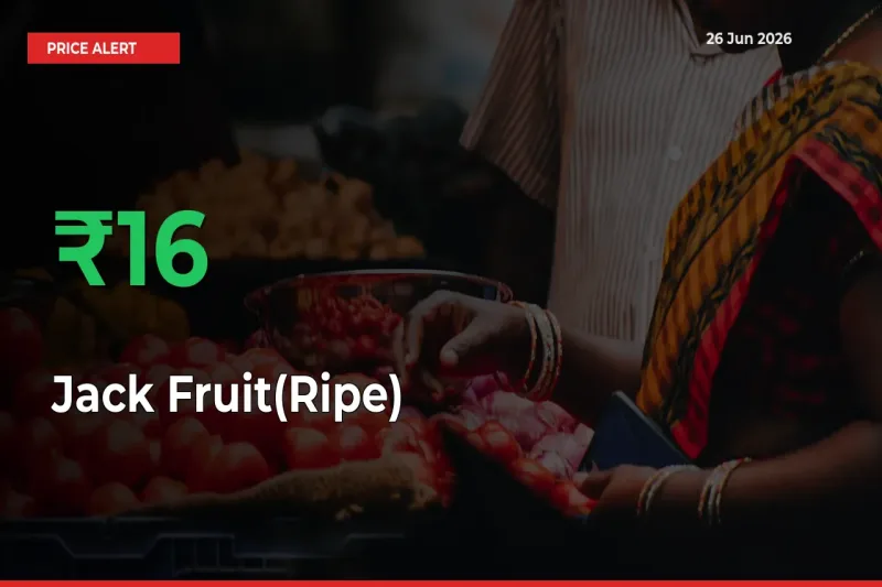 Big Rally! Jack Fruit(Ripe) Climbs 16.17% in 24 Hours at Top Mandis