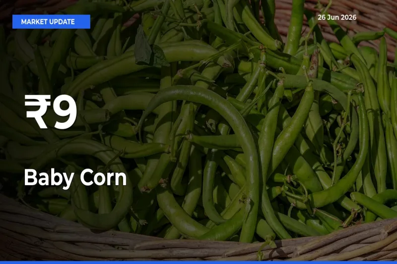 Baby Corn Mandi Prices Move in Sync Across Major Markets Today