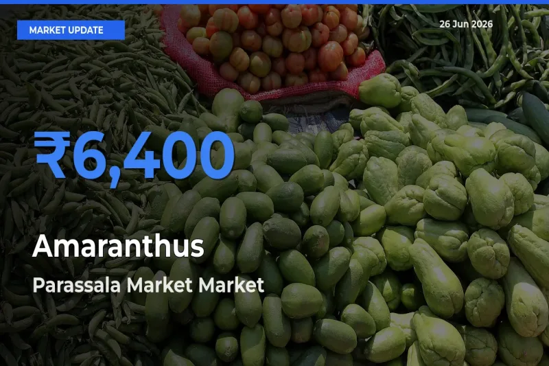 Parassala Market Emerges as Top Mandi for Amaranthus Prices Today