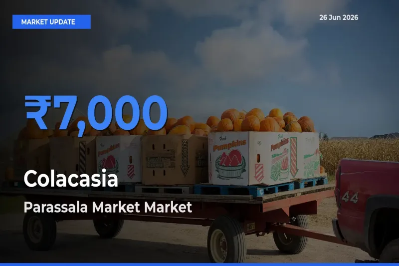 Parassala Market Emerges as Top Mandi for Colacasia Prices Today