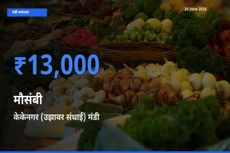 26 June अपडेट: मौसंबी के सबसे ऊँचे दाम केकेनगर (उझावर संधाई) मंडी में