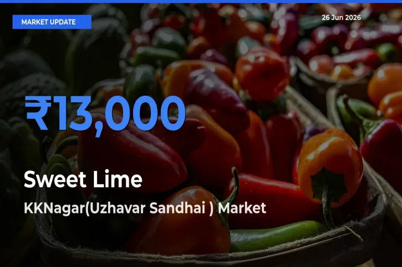 KKNagar(Uzhavar Sandhai ) Offers ₹13,000 – Highest Sweet Lime Rate Today