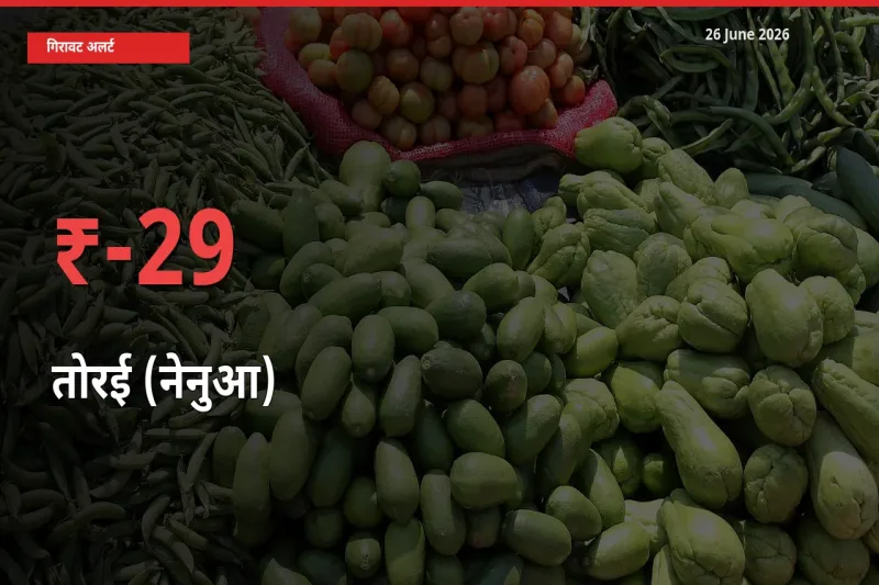 बाज़ार संकेत: तोरई (नेनुआ) के भाव मंडी में 28.57% नीचे