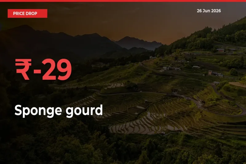 Sponge gourd Prices Drop 28.57% – June 26 Market Update from Mandis