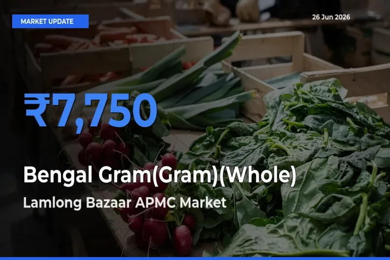 Farmers Prefer Lamlong Bazaar APMC as Bengal Gram(Gram)(Whole) Hits Highest Rate